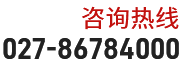 武漢高考沖刺